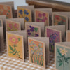 Whispers of the Wild | Wildflower Cards & Guidebook